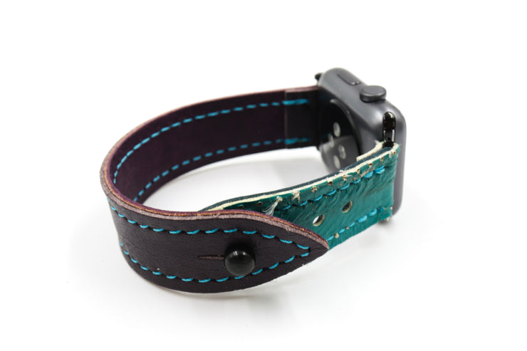 Anaheim Duck Hunt Purple/Teal iWatch Band