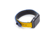 The Arch Collection Blue/Yellow iWatch Band