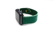 Winter Classic Pro Series White/Green iWatch Band