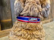 New York Dog Collar