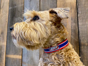 Seattle Dog Collar